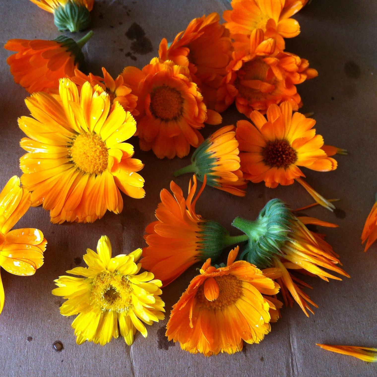 100% Grown Here Products