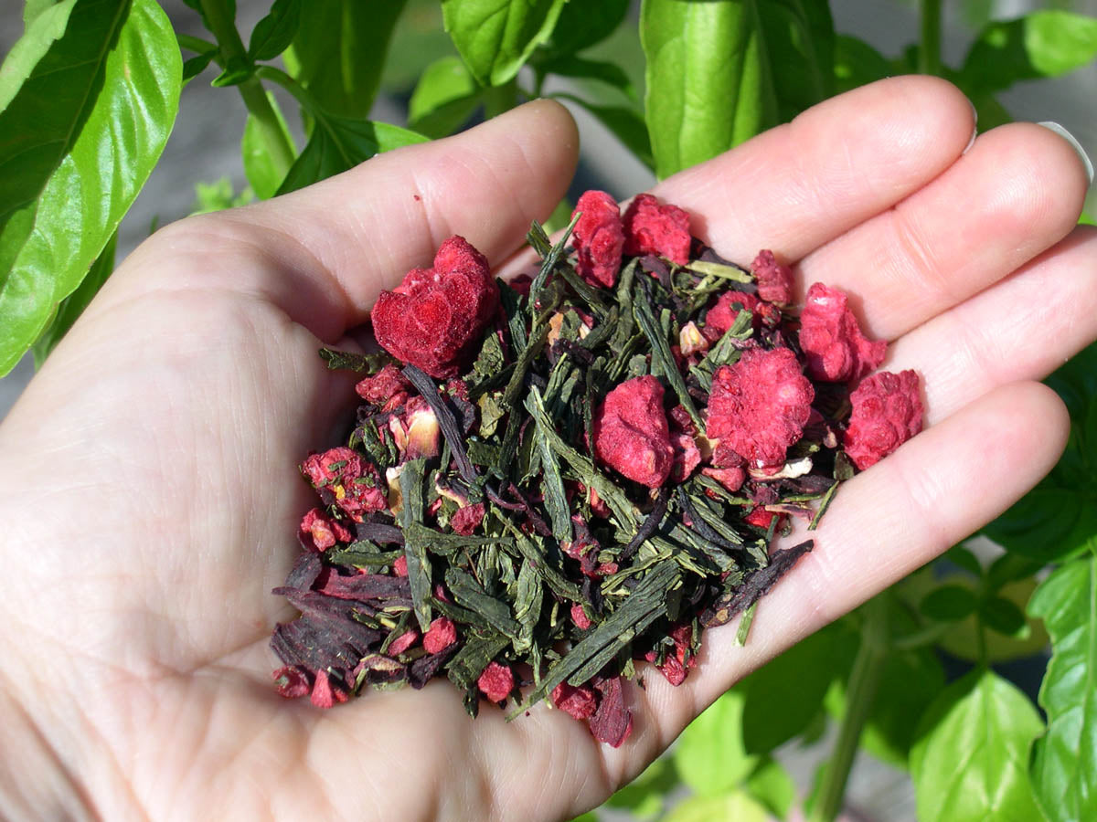 Red Raspberry Green Tea (Chakra #1)