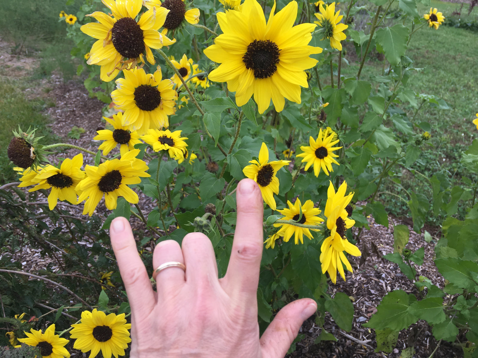 Taking time to be present IS the assignment. Drink tea; choose love.