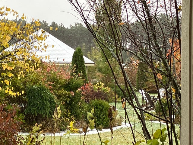 10.20.22  Tea time is here! Sharing Fall Favorites