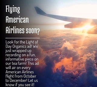 Light of Day featured on American Airlines Flights