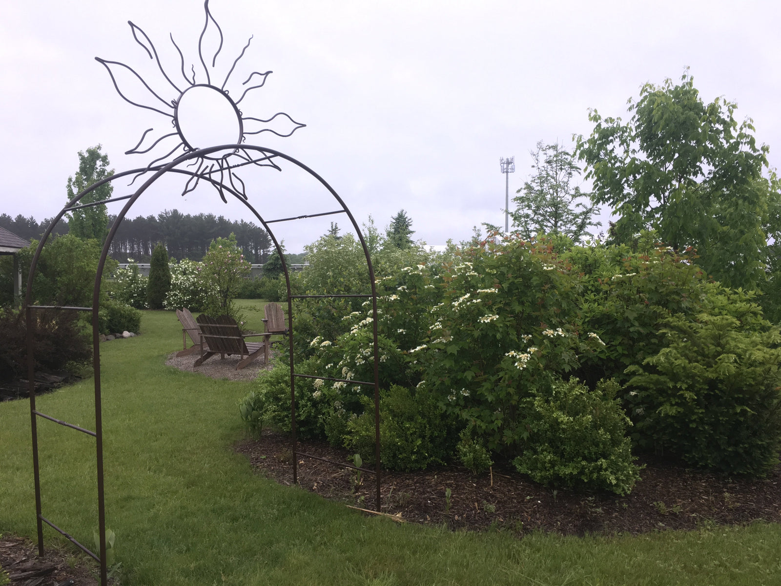 August 2019 Newsletter