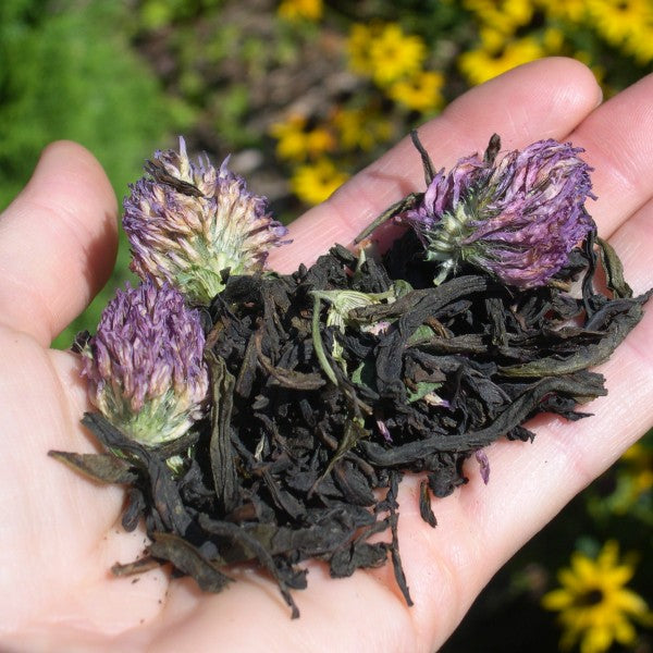 August-September("Augtember") Newsletter 2017