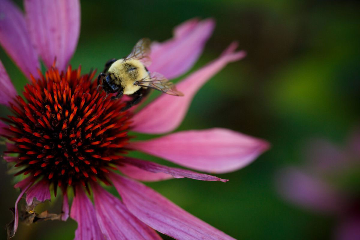 May Mother's Day Ideas