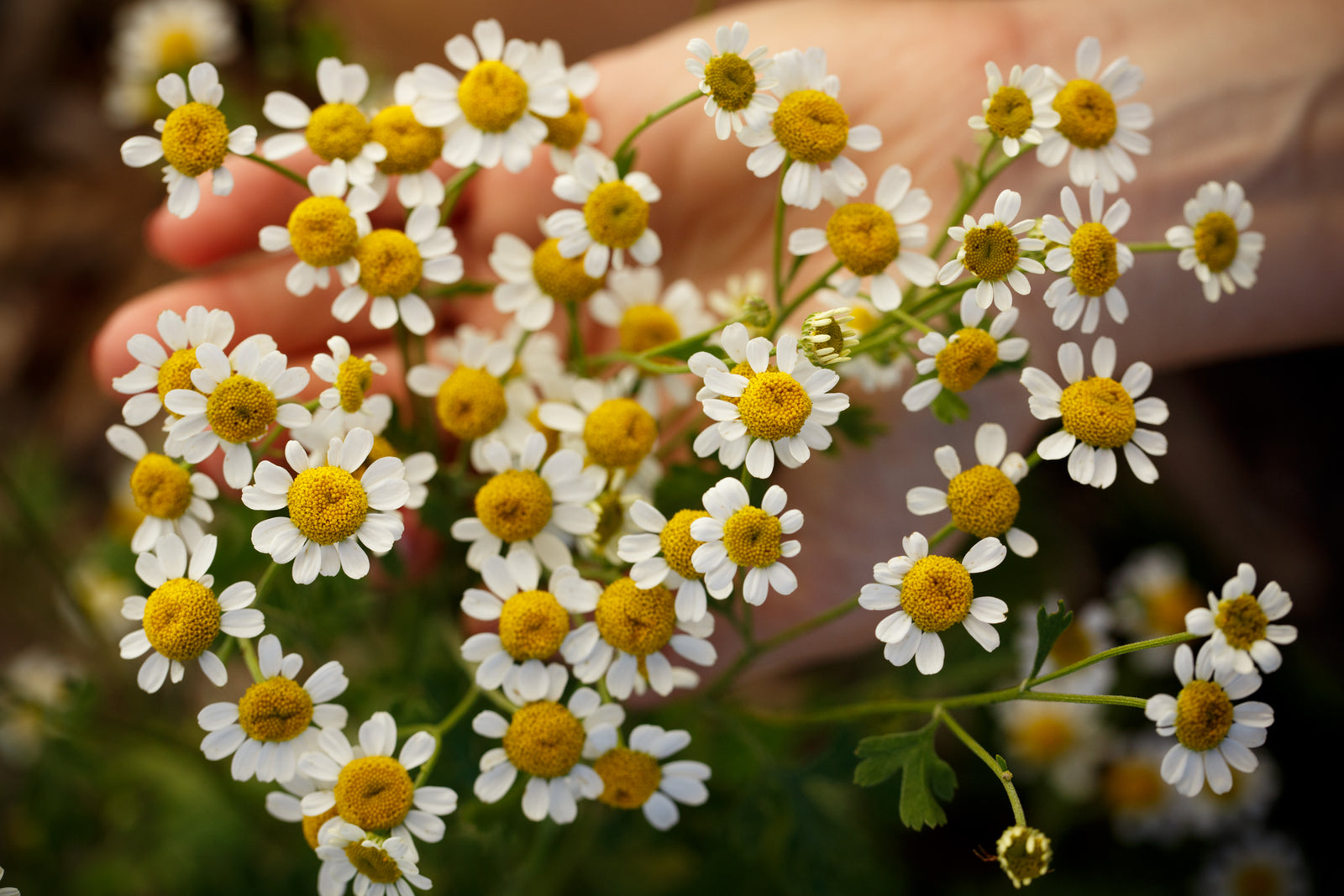 Love notes that fuel us