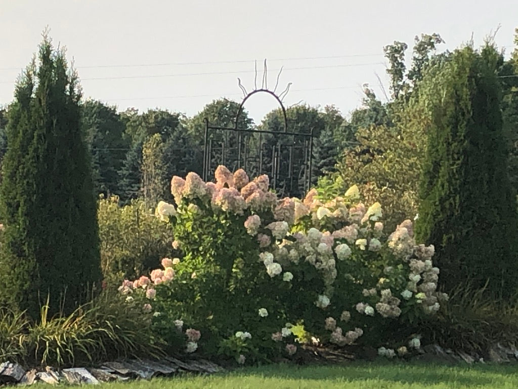 9.28.20 Newsletter. Abundance. The Harvest Moon. Wildlife