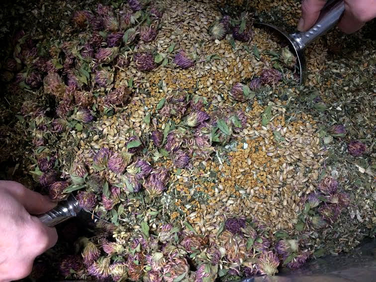 March Newsletter 2016