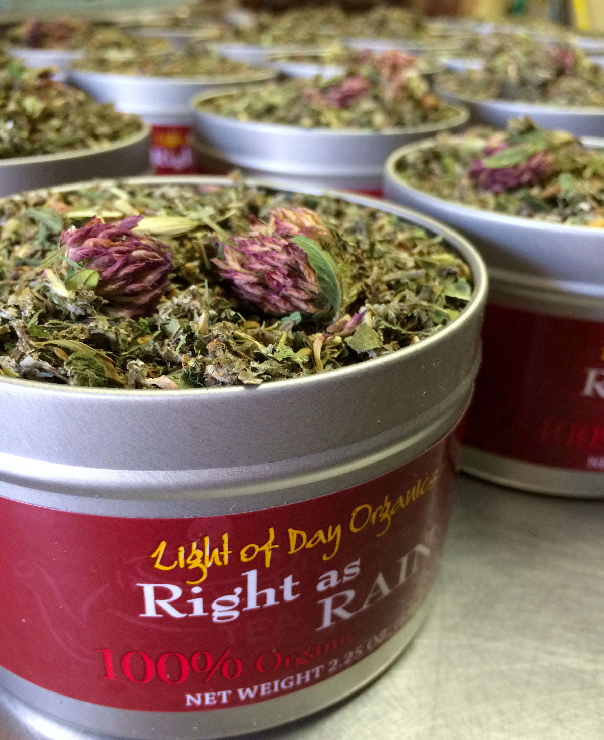 Spring 2015 Newsletter