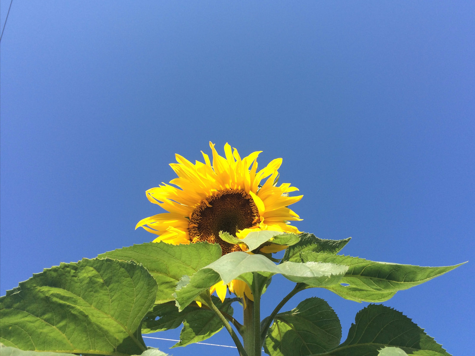 October Newsletter- 2019