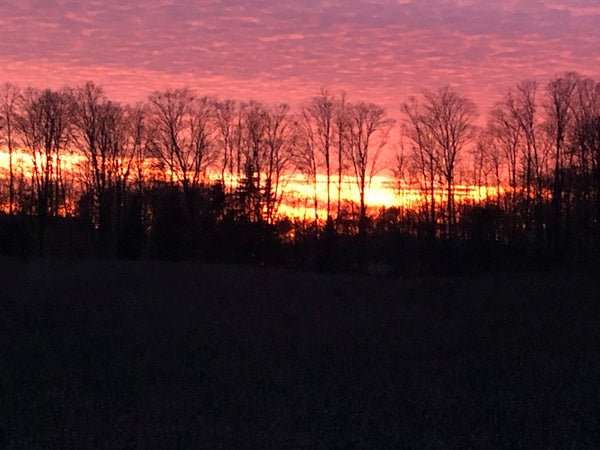 A letter from Founder- November 2020