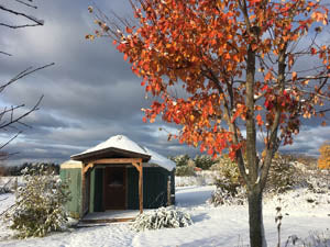 November Newsletter - 2019