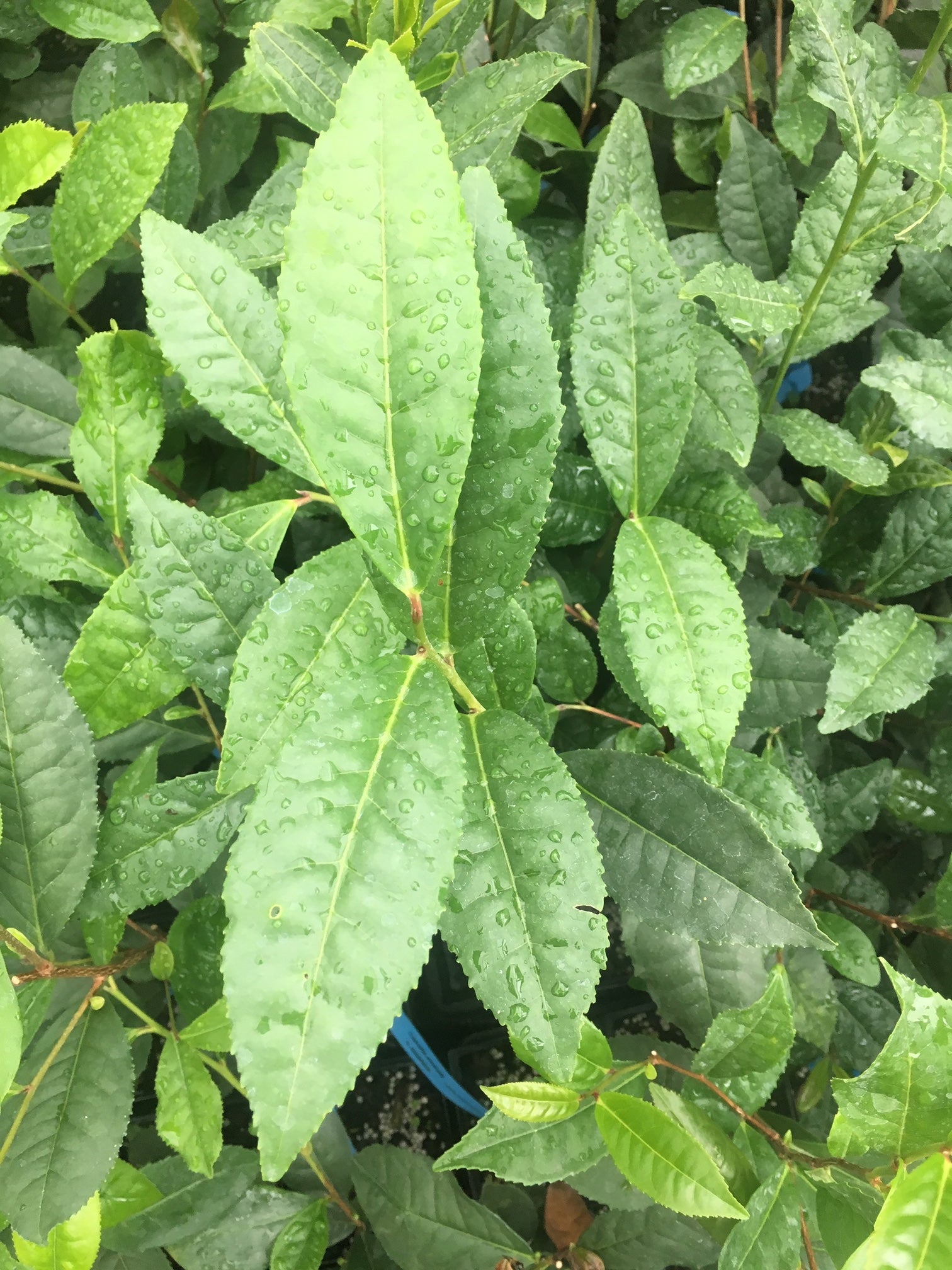 Website-only SPECIALS!