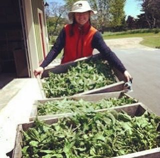 Made-with Ingredients We Grow