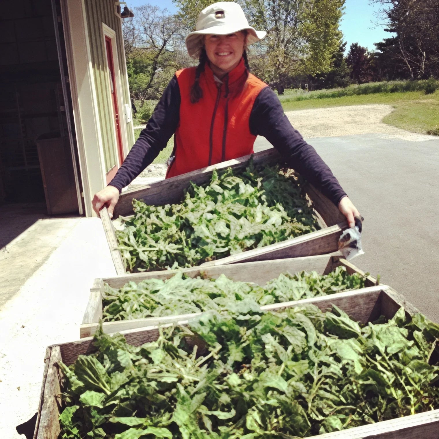 Made-with Ingredients We Grow