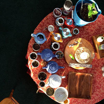 Classes / Private Consult/ Events/ Venue Rental