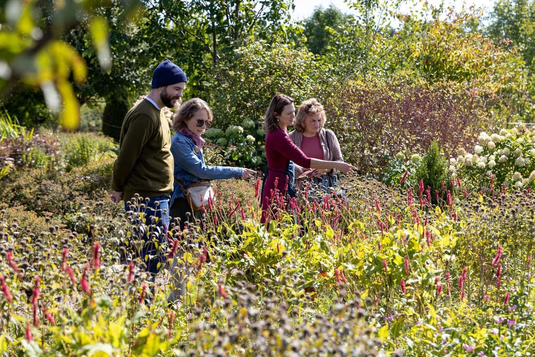 Classes- 2025 &#39;Taste &amp; Tour &#39;Tea Farm Workshops (May-Sept)