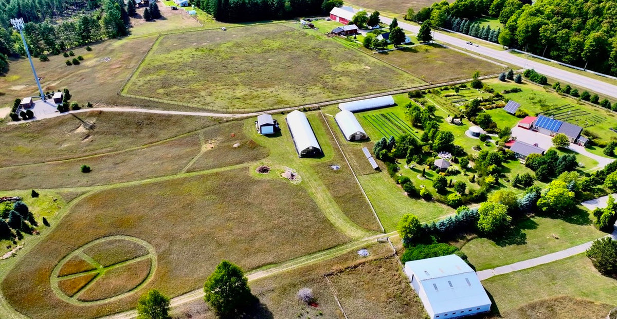Classes- 2025 &#39;Taste &amp; Tour &#39;Tea Farm Workshops (May-Sept)