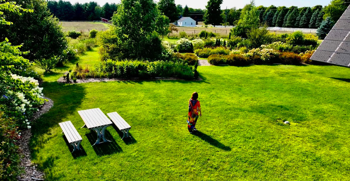 Classes- 2025 &#39;Taste &amp; Tour &#39;Tea Farm Workshops (May-Sept)