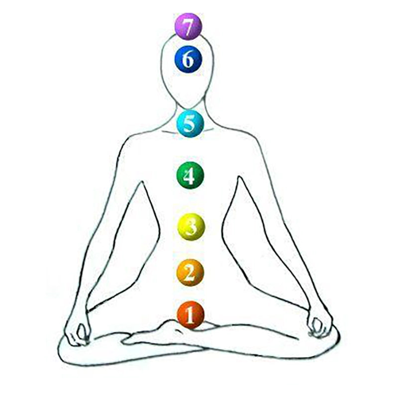 The Chakra Teas Collection (300+ servings)