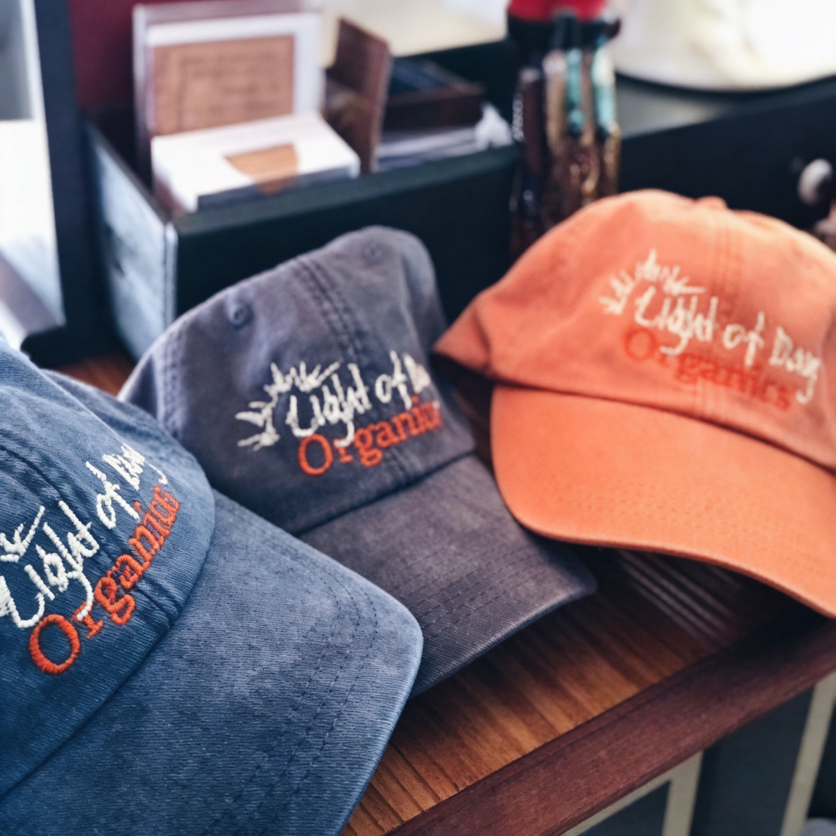 Hat- Light of Day Ball Cap