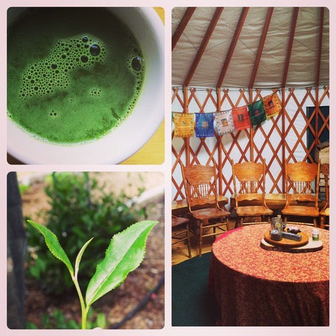 Yurt Class- Private GROUP Taste &amp; Tour Special Event